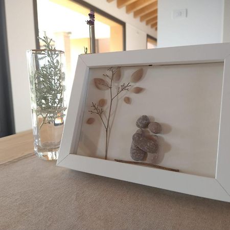 Agriturismo Verdecielo 帕多瓦 外观 照片